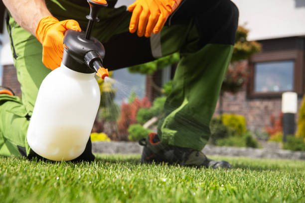 Best Pest Prevention Services  in Oak Grove, OR