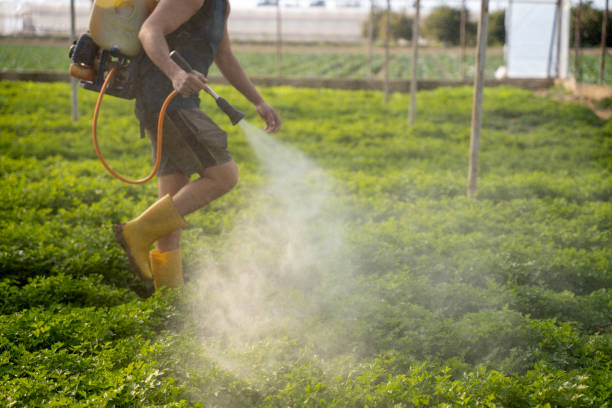 Flea Control Services in Oak Grove, OR