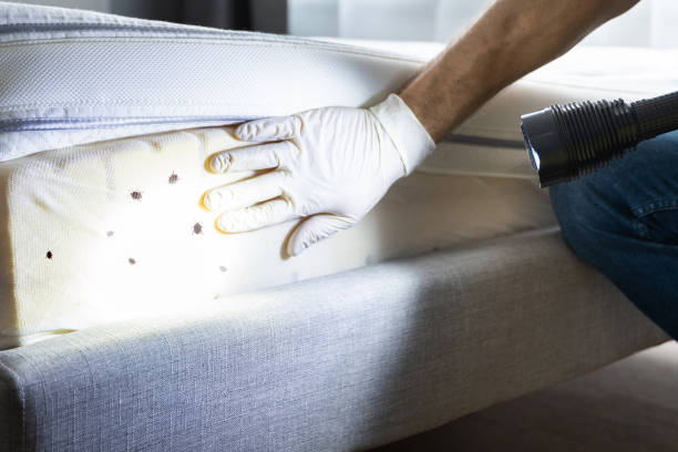 Best Commercial Pest Control Services  in Oak Grove, OR