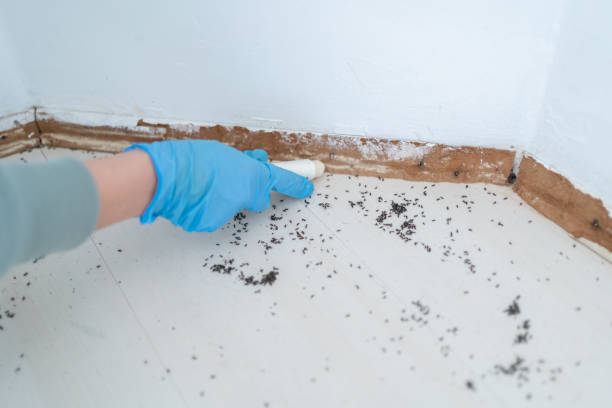 Pest Control for Restaurants in Oak Grove, OR