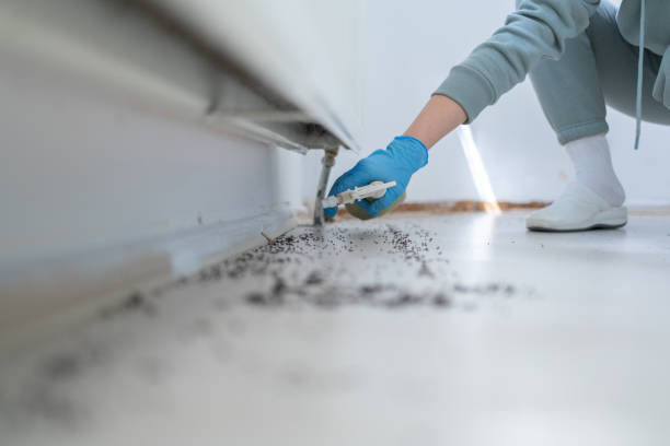 Professional Pest Control in Oak Grove, OR